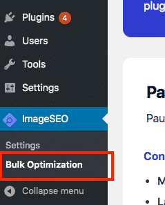 Image SEO Bulk settings
