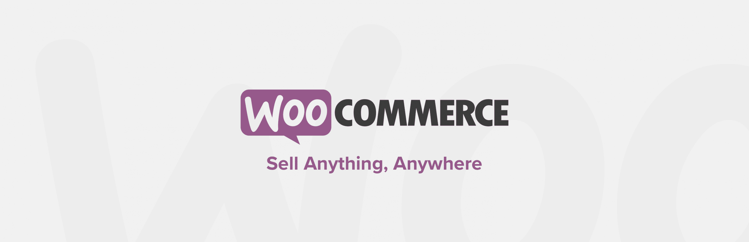 Hire WooCommerce Developers - Wings Tech Solutions