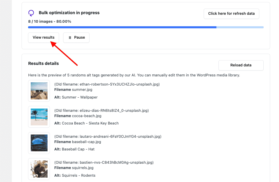 previews if the results generated by Image SEO optimizer